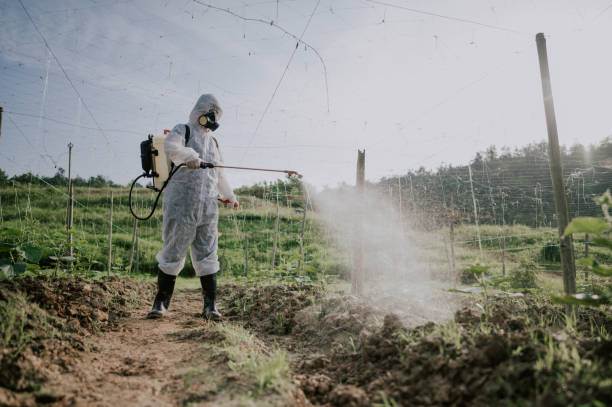 Best Ant Control Services  in Watts Mills, SC