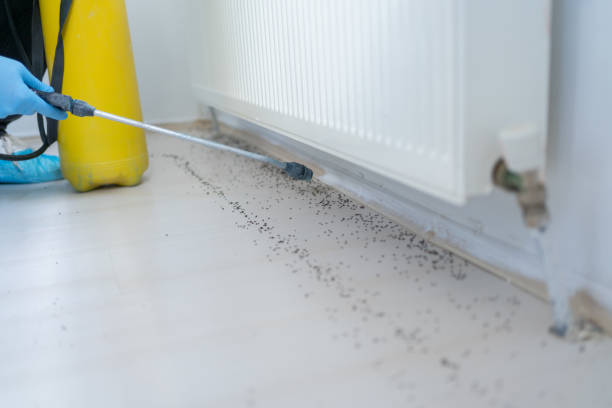 Best Pest Inspection Near Me  in Watts Mills, SC