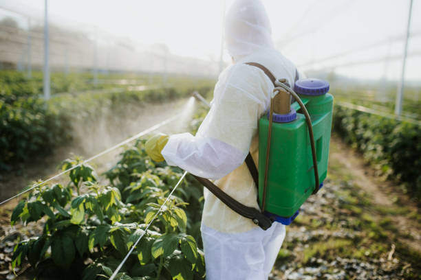 Best Best Pest Control Companies  in Watts Mills, SC